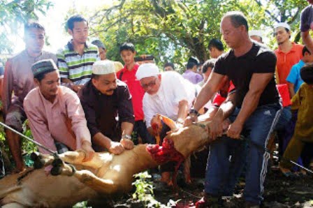 tok guru sembe;lih http://www.buletinonline.net/images/stories/aberita7/tok%20guru%20sembe;lih.jpg